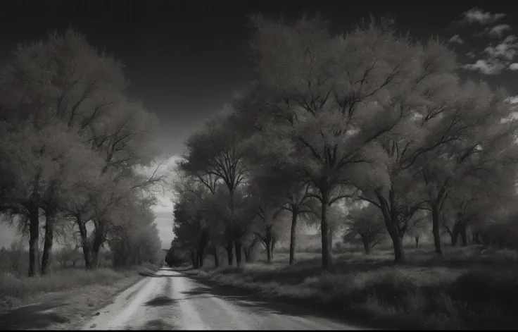 Arafed view of a dirt road with two trees on each side, Infared photography, Camino de tierra, Camino rural, inspirado por Dorothea Lange, scattered trees, black and white photograph, incoloro y silencioso, Foto en blanco y negro, camino fangoso, Scattered...