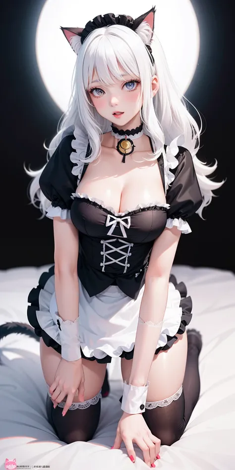 big breasts ((cat girl)) ((white hair)) wavy hair, medium hair ((high quality)) no ears, extremely sexy body, maid costume, on all fours, parted lips, passionate expression, professional lighting, choker, sexy pose