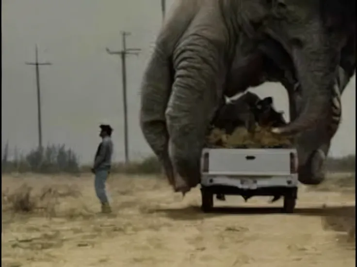 Elephants are transported by truck on dirt roads, his trunk is a huge tentacle, huge creature, cgi special effects, Epic VFX shots, perfect movie shot, huge creature, national geographic footage, From《tusks》cinematic ligh, hyperreal movie shot, huge tusks,...