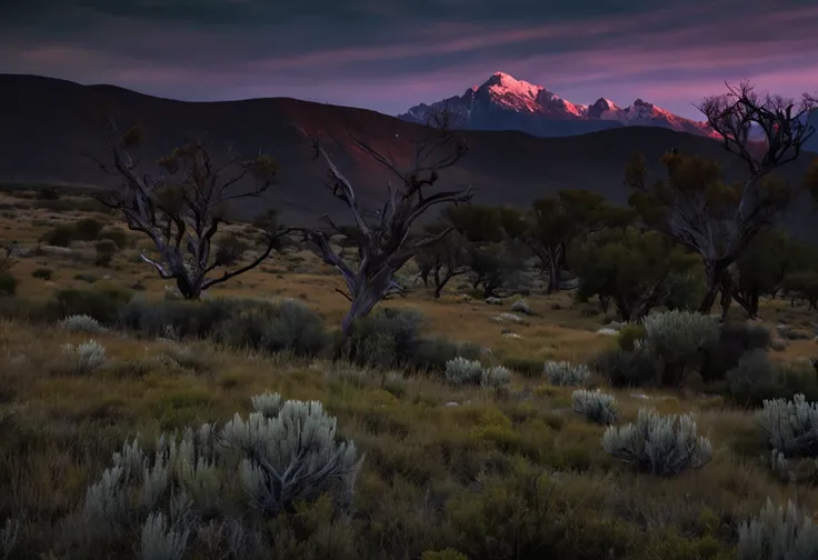 La mejor calidad, paisaje, noche, esrellas, luna, luciernagas, campo verde, oscuridad, bosque en segundo plano, Snow-capped mountains in the foreground, calidad muy alta, muchos detalles, hierba verde oscura, sombras azuladas, luciernagas volando, small mo...