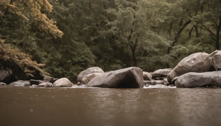 Com o tempo, The waters of the river were shaping the stone. Elas a tornaram mais forte e mais resistente.

A pedra crescia a cada dia, and his dream seemed more and more possible.