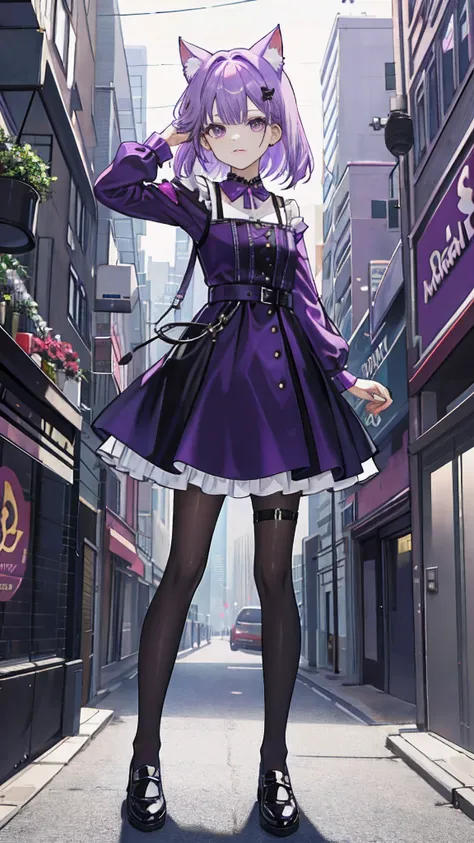 Purple colored hair，Dress dress，stocklings，cat ear，leather shoes