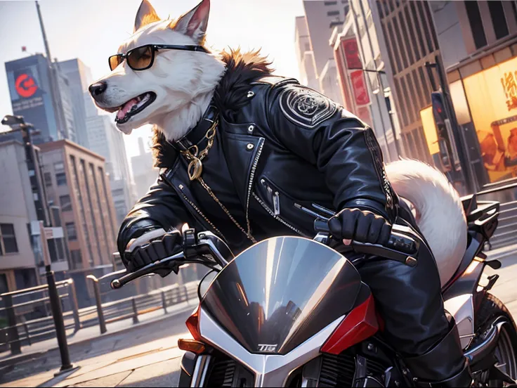 （Fashion animals：1.5），Doggy， Sunglasses on his head，Wear punk clothes，riding motorcycles，urbansamurai，Pedras preciosas，gold， jewely， Magic Circles，Gorgeous city backdrop，Ultra-realistic detailed rendering，Gang members，intimidating pose，Planet of dogs，fashi...