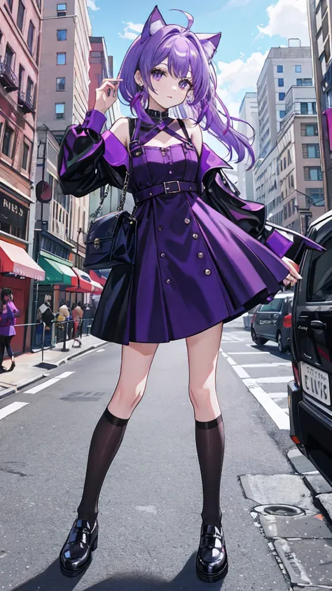 Purple colored hair，Dress dress，stocklings，cat ear，leather shoes