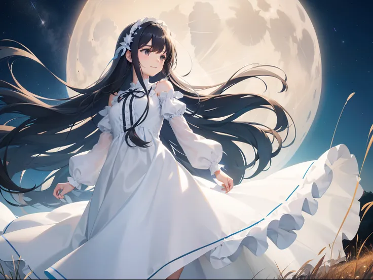 Pretty girl　a smile　Sky blue long hair　Long white dress with black eyes ruffles　The dress flutters in the wind　A lot of pampas grass　Swaying in the wind　natta　Moon Night　night sky full of stars