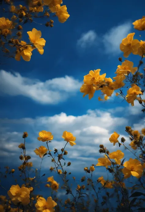 blue and golden flowers among whith clouds