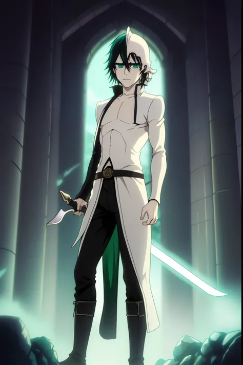 Cabelo Verde-Escuro: Ulquiorra has dark green hair that is short and straight, com franjas que caem sobre sua testa.
Olhos Verdes Esmeralda: Their eyes are remarkably green and have a unique appearance. They are usually described as bright emeralds and ha...
