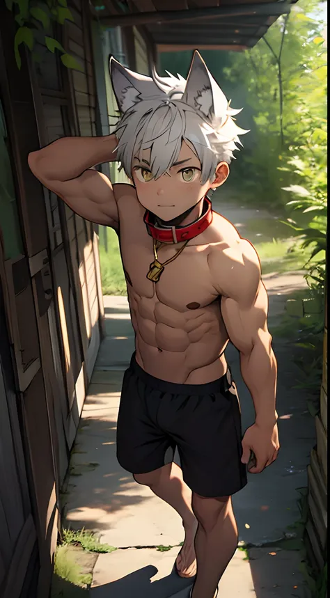 (Masterpiece, Best quality), 1 juvenile，Young boy，Keep your eyes wide open，largeeyes，a baby face，Teen faces，The childs face，nakeness，ssmile，Wheat-colored skin，with short white hair，Large, Sharp wolf ears，Flat chin，Clear briefs，bare pectorals，short detailed...