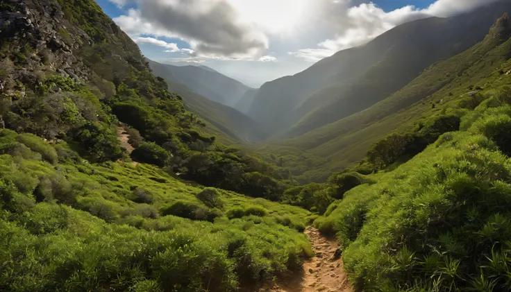 "Por favor, crie uma imagem de uma majestosa montanha cercada por uma paisagem deslumbrante. A montanha deve se destacar, with overgrown peaks. No meio da montanha, there should be a winding trail that extends to the top. A trilha deve ser estreita, but cl...