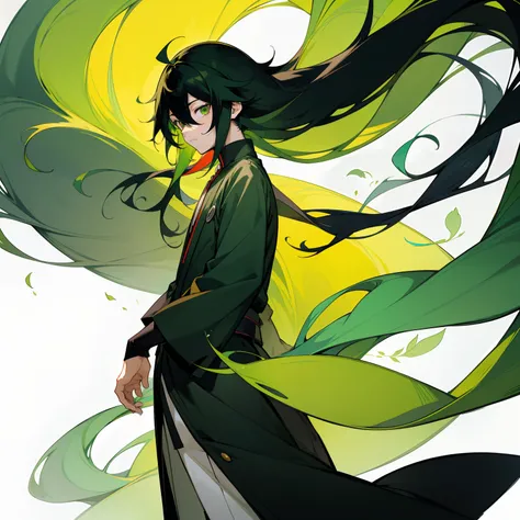 Kamitsu no Yiba drawing style, Yuichiro Tokito, one boy, very long hair, smooth flowing hair, black hair, multi-colored hair, two-colored hair, green hair, solo, one boy, male focus, calm face, calm temperament, outfit Madrasi, multicolored eyes, Kaguran, ...