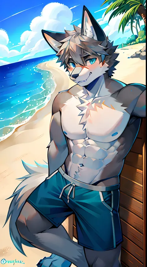 Single, Muscular, grey body, White belly, On the sandy beach,Wolf ears, Wolf tail, frontage,Short hair,Sunshine,Blue pattern swim trunks,beach,Ocean,high qulity,blue color eyes,Gray hair,high qulity