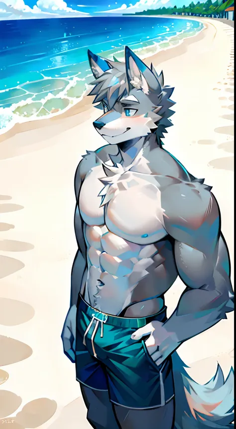 Single, Muscular, grey body, White belly, On the sandy beach,Wolf ears, Wolf tail, frontage,Short hair,Sunshine,Blue pattern swim trunks,beach,Ocean,high qulity,blue color eyes,Gray hair,high qulity