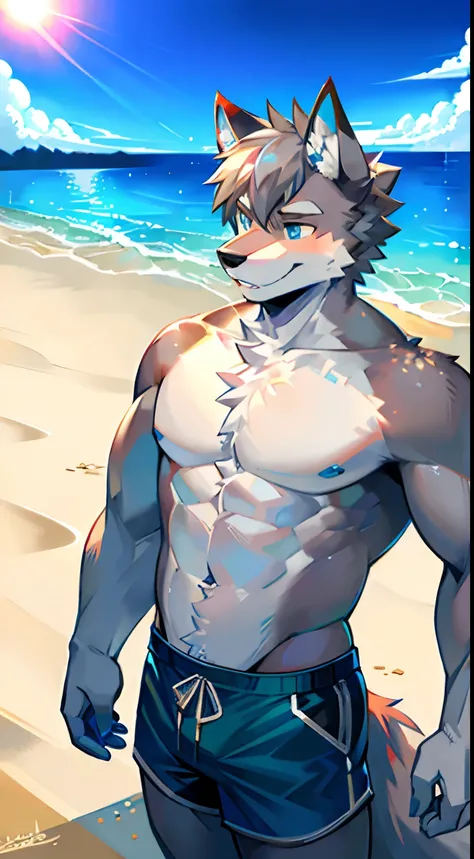 Single, Muscular, grey body, White belly, On the sandy beach,Wolf ears, Wolf tail, frontage,Short hair,Sunshine,Blue pattern swim trunks,beach,Ocean,high qulity,blue color eyes,Gray hair,high qulity