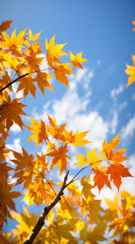 (RAW photos, Best quality), (Realistic, Photorealistic: 1.2), autumnal，Maple leaves，Skysky，Clouds，Realiy，photorealestic，HD camera