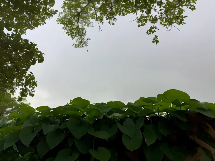 there is a clock on a pole in the middle of a garden, natural overcast lighting, looking from slightly below, view from ground, low angle 8k hd nature photo, low angle wide shot, very low angle photograph, view from below, view from bottom to top, overcast...