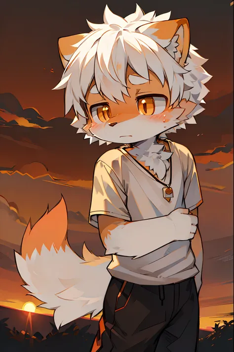 furry,fur,body fur,solo,male,sad face,((orange sunset sky,big sun,horizon)),short sleeves,character focus,face focus,white shirt,white hair,orange fur,BREAK,aoeu,aoeu,aoeu,aoeu,aoeu,aoeu,aoeu,aoeu,aoeu,aoeu,aoeu,aoeu,aoeu,aoeu,aoeu,aoeu,aoeu,aoeu,aoeu,aoeu...