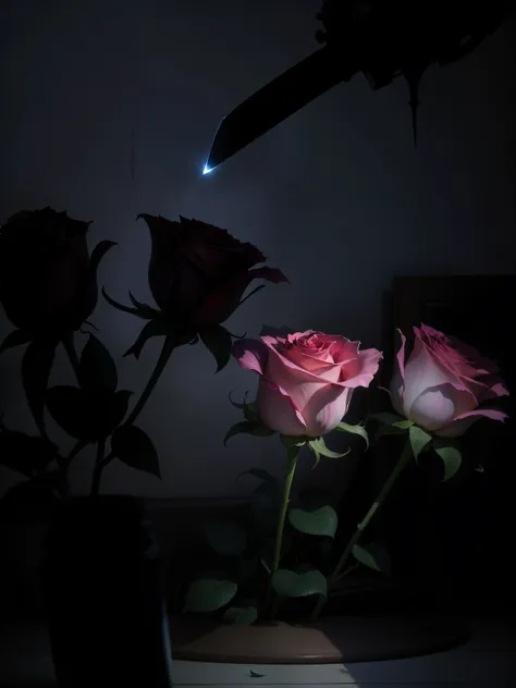 Splendid roses，Knife in the shadows，At night, A beam of light fell