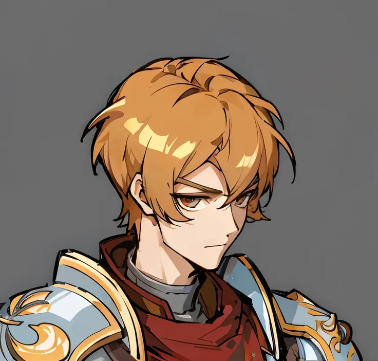 a cartoon image of a man in armor with a sword, roguish smirk, Male paladin, A human male paladin, crisp clear rpg portrait, Varguyart style, Keqing from Genshin Impact, spears, concept headshot art, portrait of dragoon,