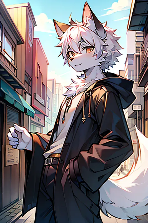 Furry male wolf，furred，bodyfur，城市，the street，独奏，longer sleeves，horizon，BREAK BREAK BREAK，AOEU，vectorial，Line art，CasualClothing，Young style，Particularly handsome，has a tail，one meter seven，16 yaers old