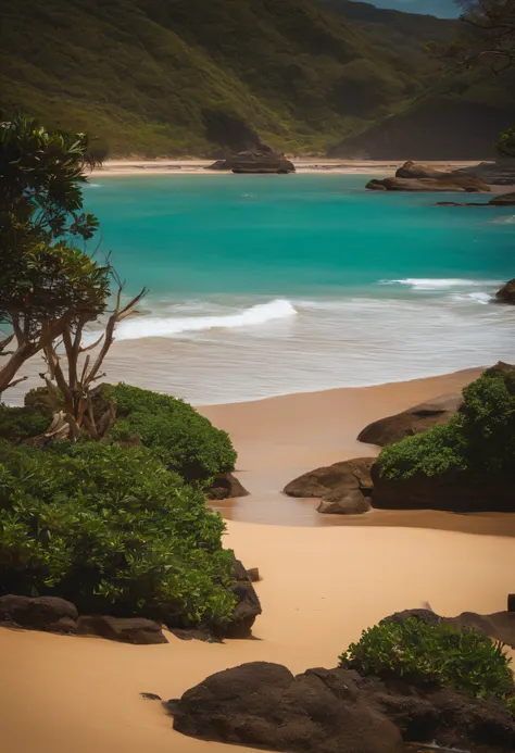 crie uma paisagem de praia