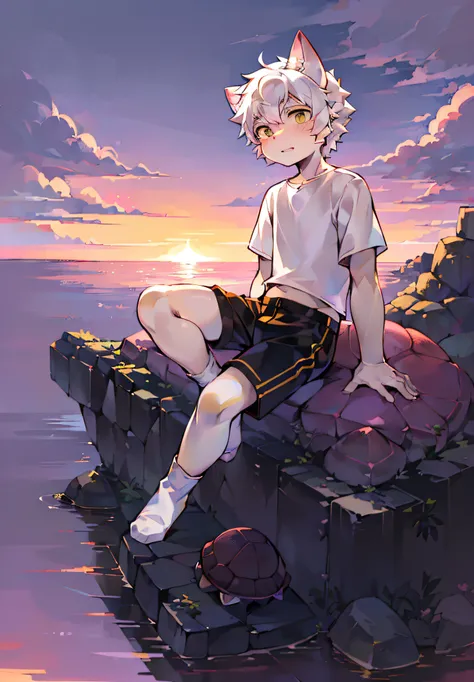 (A turtle)，Libido boy，cat ear，sitting on the stone，((Shota)),Yellow-white hair, Very good figure, Handsome，adolable, Light：Extreme light and shadow, Reflective skin,White short-sleeved T-shirt， ((Wear white socks))，Black  shorts，((Under the pink sunset))，O...