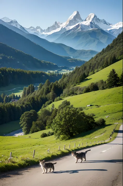 ((top-quality、​masterpiece、photographrealistic:1.4、in 8k))、catss、(cat strolling along a road with a view of the alps)