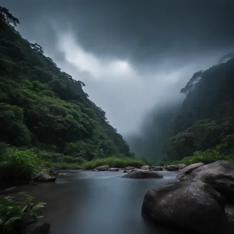 Magnificent view，Mountain top forest edge landscape photography professional high quality nature digital photography，Broad field of view，Bushes in the moonlight，Moonlight 1 White Phalaenopsis orchids on the edge of the cliff，Clear and transparent water，Hug...