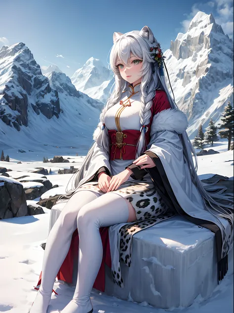 landscape，Towering snow-capped mountains，The wind is cold，snow covered，The snow woman sits on a snow leopard，Walk in the snow