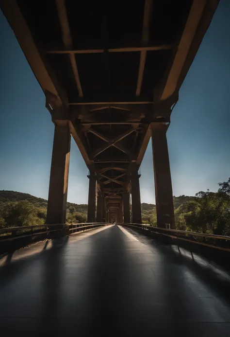 engenheiros vitoriosos construindo uma ponte