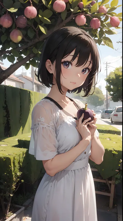 theme: Fig picking
person: 16yo girl、short-hair（Hair color：pink there、Hair quality：wave）
expressioness：surprise
pupil：gold、Realistic and complex eyes
skin：so-so
Dress：White dress（frilld、With races）
Poses：holding a fig in both hands
focus:Focus on figs
Effe...