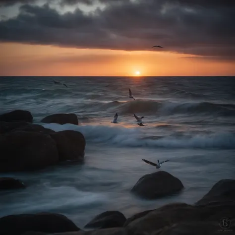 sunraise, suns, beam of light, Sunrise over the sea, the sea, seagulls, UHD, retina, masterpiece, ccurate, super detail, high details, high quality, award winning, best quality, highres, 16k