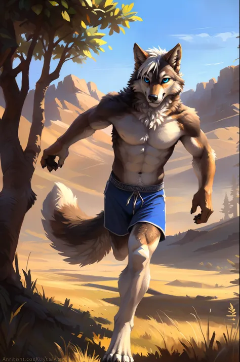 ((Solo)), male people, anthro wolf, (Multi-colored fur, White-brown:1.3), ((Wolf face, White hair, Big eyes, White eyelids, Blue pupil, Slim:1.2) (Tough, Calm expression:1.2)), Abs, Slim, pinging)), (Correct anatomy), (Work shorts:1.1), (Contour bone:1.2),...