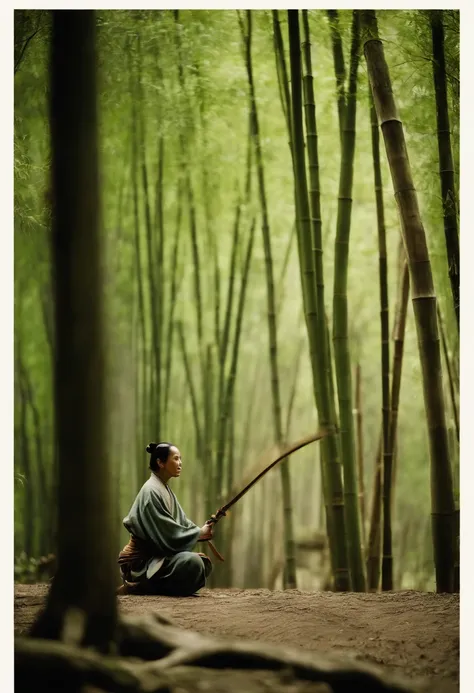 Crouching Tiger, Hidden Dragon stills，bamboo forrest，Wuxia chase，Hanging Via