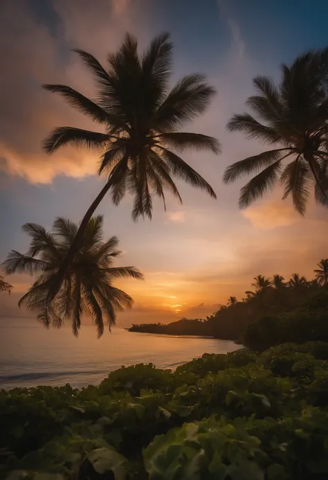 2 Coconut trees seen from below in low dive. Couchant de soleil. very realistic; Objectifs: filmed with a 16mm; Sony A7r IV