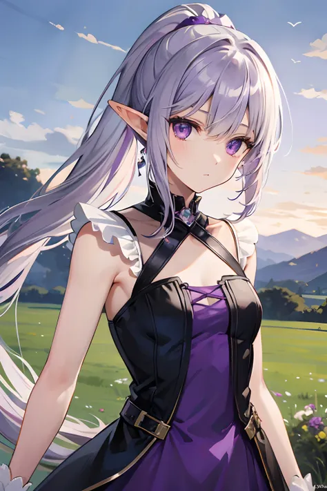 （（Purple-silver hair color）），Purple eye，the elf，Double ponytail solo，Attention to facial details，offcial dress，Very small breasts，grassy fields