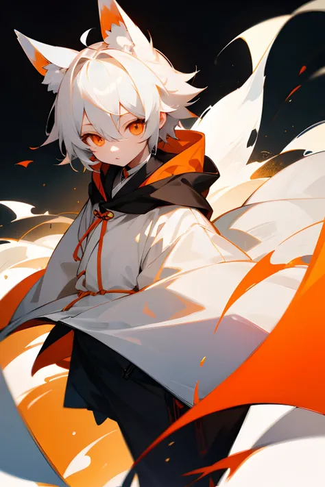 white  hair、Orange eyes、Hood from the top of the foxs ears、cute little、male child