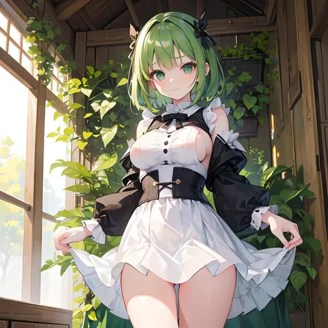 1girl, masterpiece, extremely detailed, high resolution, realistic, extremely cute face, big green eyes, cute eyes, short green hair, short, thick legs, wide hips, small upper body, small boobs, happy, bright, white skirt, black top, in barn, looking at vi...