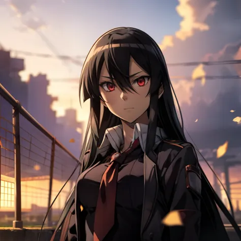 akame (akame ga kill)