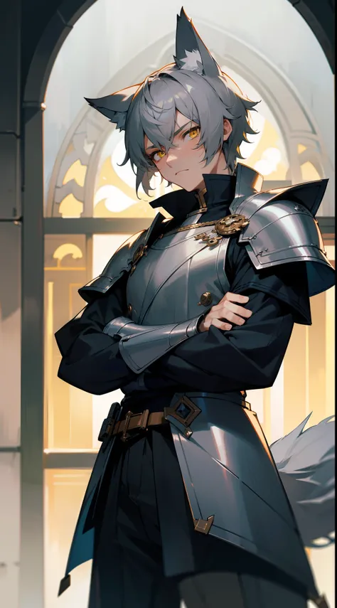 Original Character,8k, Masterpiece, Best Quality,Detailed, Beautiful Detailed Eyes,fine skin),1boy,solo,gray hair,short hair,yellow eyes,silver knight outfit, wolf ears,wolf tail,serious face,standing in a window in night,crossed arms,detailed face,masterp...