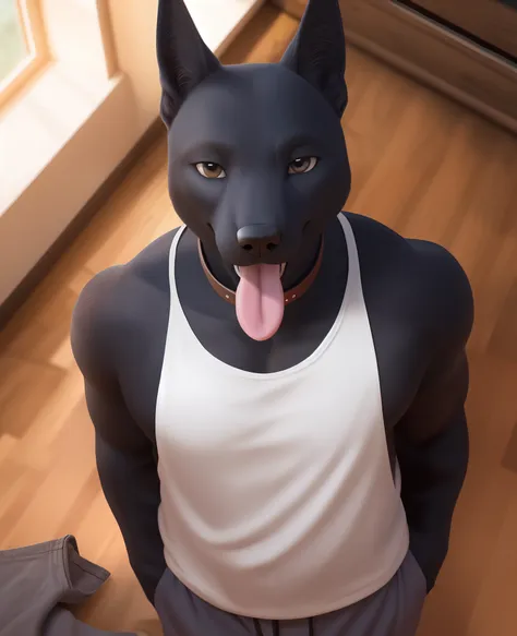 high-angle view, close-up, anubis, round pecs, dark fur, detailed face break standing, open smile, tongue out, smile, collar, lo...