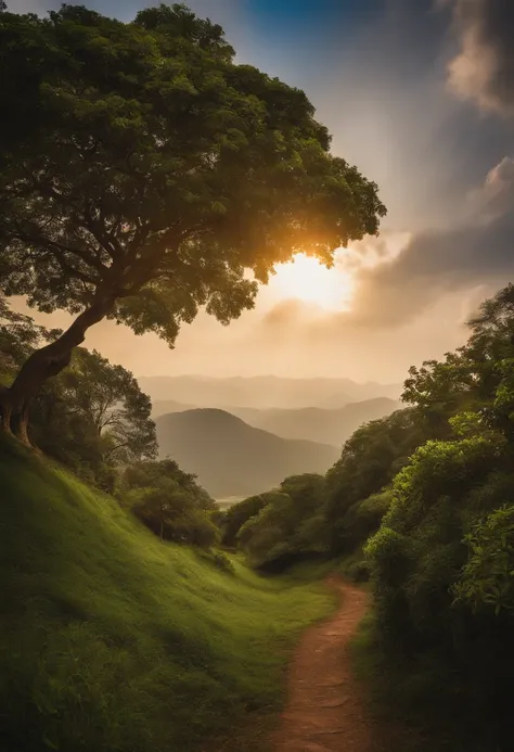 master part, 8k，best quality, studio lighting,Flores silvestres brancas，Nublado, nevoeiro denso，The world tree approaching in the distance and the city under the tree，Selvas，Pequenos rios, The lighting