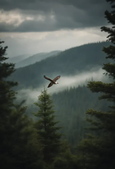 A bird that flies alone.,lonely,Pine forests, rivers and mountains on rainy days,master-piece,Sea of clouds