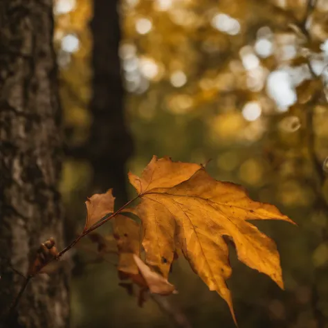 Close-up of autumn leaves,high high quality,8K,Many details,