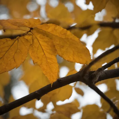 Close-up of autumn leaves,high high quality,8K,Many details,