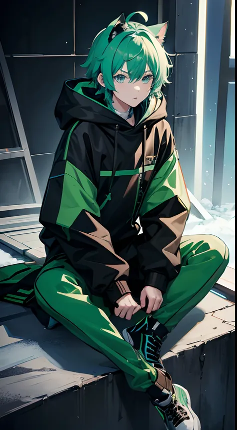 anime boy 8k, best quality, RAW photo, winter costume, Style: Techwear colors: green-black-cyan details: cat-ear hoodie, boy, messy hair, Full body front design, sitting pose, mecha behind