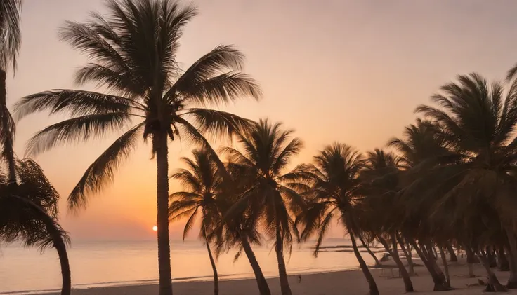 Vue dArafed sur un coucher de soleil avec des palmiers et une plage, Palmiers sur la plage, tropical atmosphere, Les palmiers viennent des profondeurs, Sunset at the beach, Arbres tropicaux, paradise in the background, Le plus beau coucher de soleil, Heure...