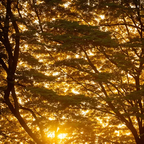 Golden Hour Light: Soft, warm, and golden hues cast by the low angle of the sun.