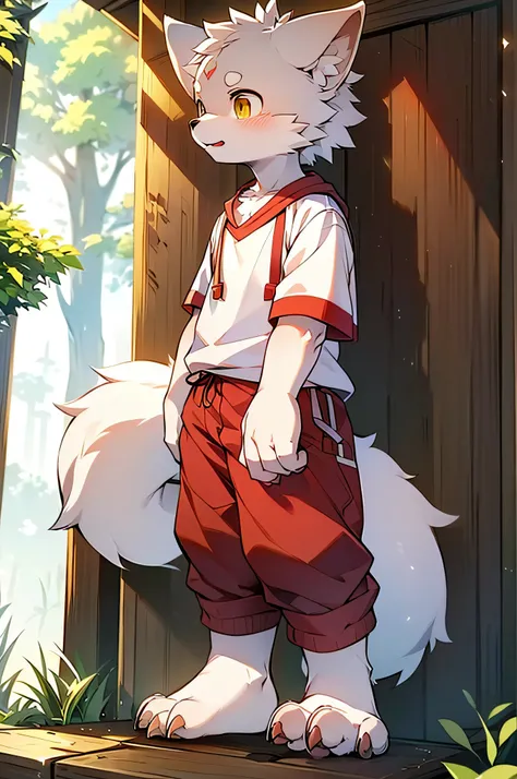 shaggy，grey fur，male people，canid，arctic fox，solo person，sharp talons，Detailed fur，Golden eyes，Thick eyebrows，Fluffy tail，red short sleeves，short white pants，ultra - detailed：1.0，Libido boy，toddlers，（Via Dagasi：1.1），anatomy correct，Red Claw，Bare claws，Bare...