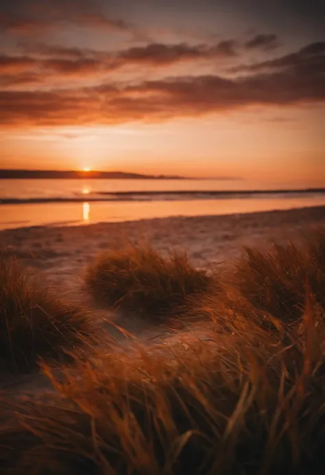 An autumn beach, with an autumn sunset, the most beautiful sunset in history.