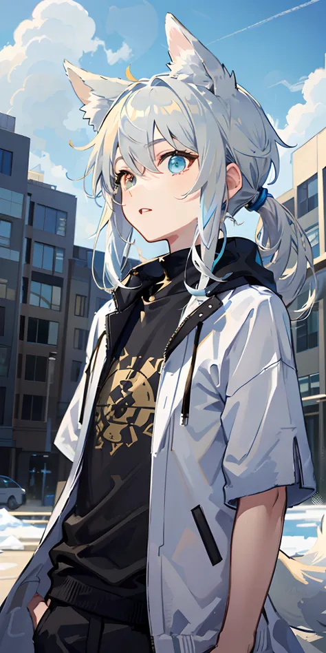 1boy，Shota，(high-definition quality，Masterpiece level)，（Heterochromatic eyes and the color of light blue hair echo each other），with clean lines，tmasterpiece, （lightblue hair）, Heterochromic eyes,(Wolf ears),(Wolf tail)，（（One tail）），（A young boy with），Lean ...